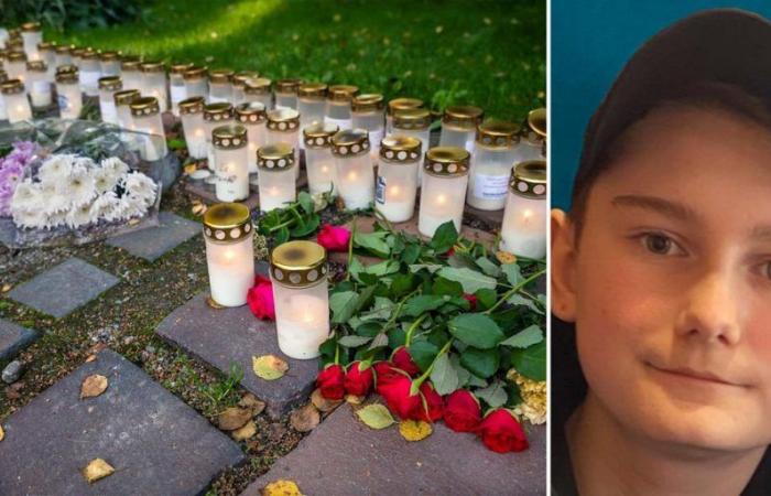 Milo, 13, shot to death south of Stockholm